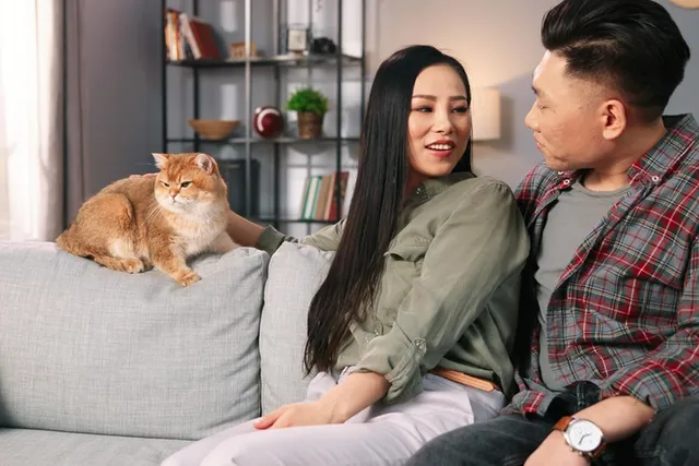 What to Do When Cats Cause Relationship Problems: Best Tips & Tricks