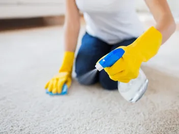 10 Best Carpet Cleaners for Cat Vomit in 2026 - Reviews & Top Picks