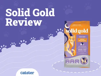 Solid Gold Cat Food Review of 2026: Recalls, Pros & Cons
