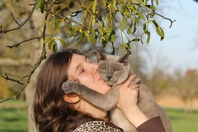 National Cat Health Month 2026: How & When Is It Celebrated?