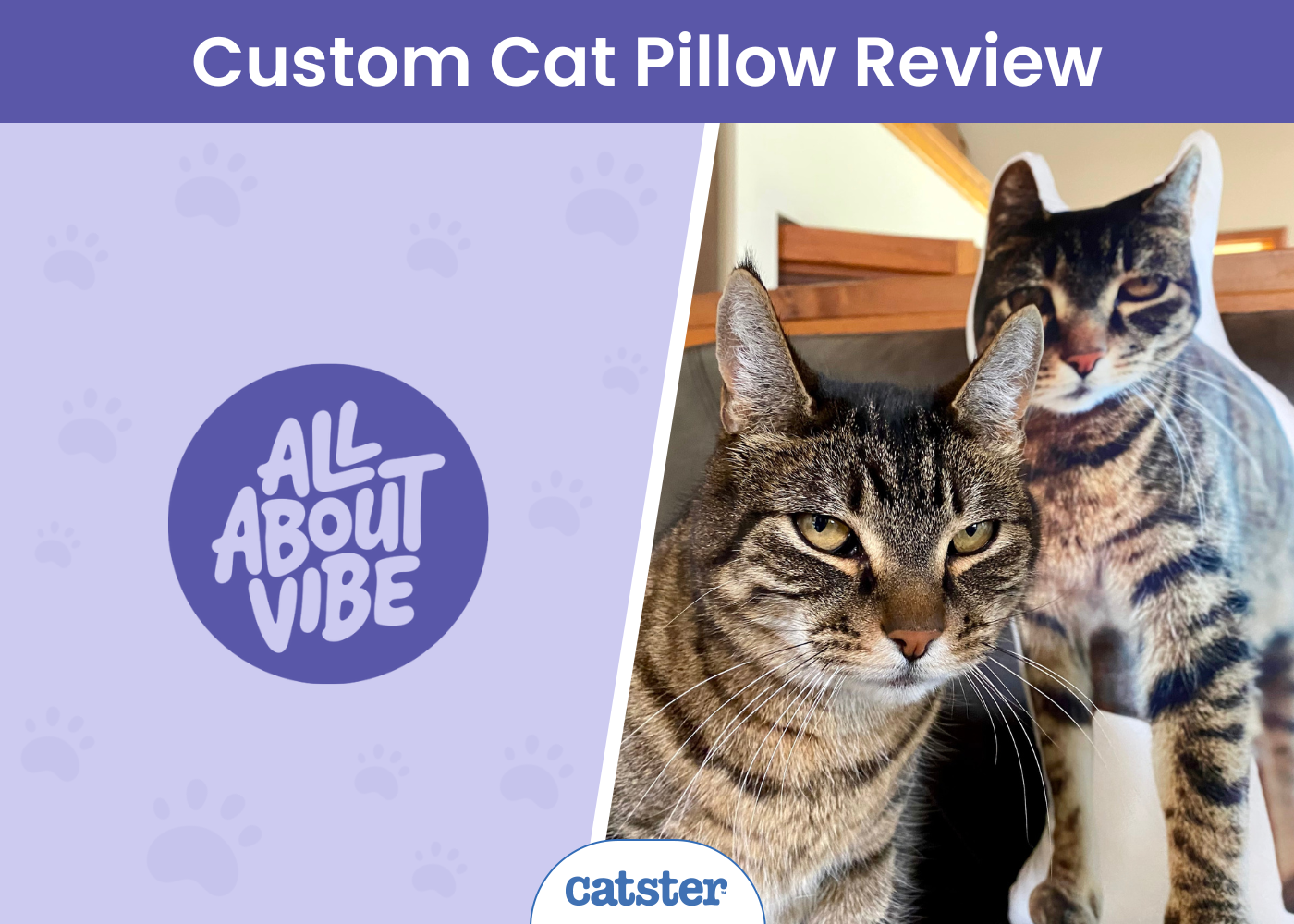 All About Vibe Custom Cat Pillow