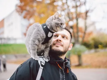 National Pet Month 2026: When It Is & How to Celebrate