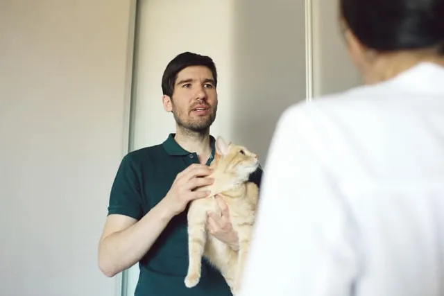 Why Does My Cat Hate Going to the Vet? Vet-Reviewed Reasons & Calming Tips