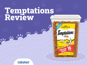 Temptations Cat Treats Review of 2026: Recalls, Pros & Cons