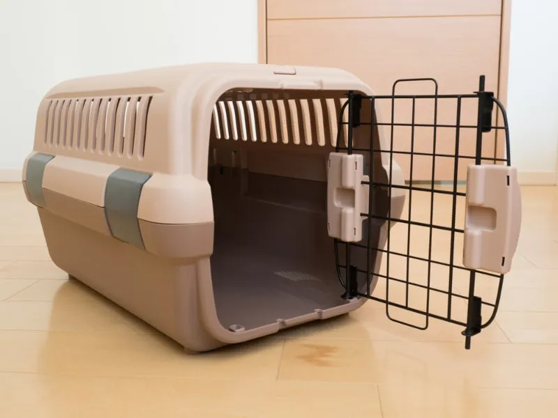 cat carrier with gate open