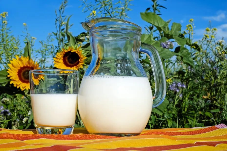 Milk in a garden