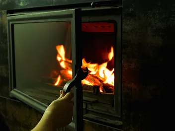 Can Cats See Fire? Explaining Feline Vision & FAQ