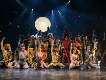 "Cats": Behind the Scenes at Andrew Lloyd Webber's Musical