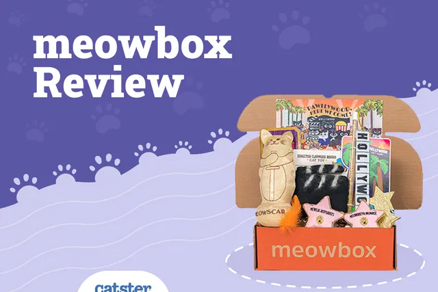 meowbox Subscription Review in 2026: Our Experts Opinion