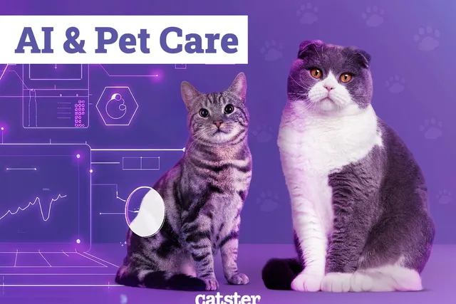 AI & Pet Care According to Vets