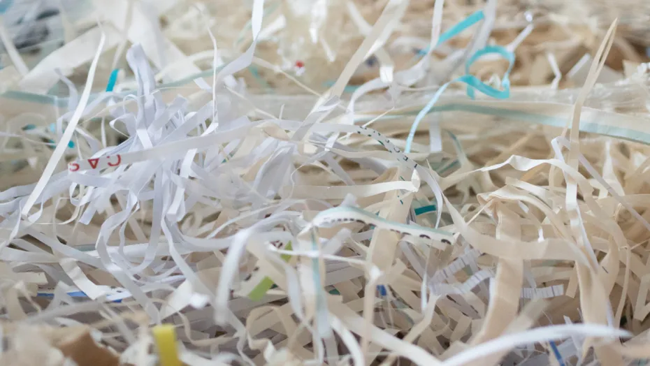 shredded paper close up