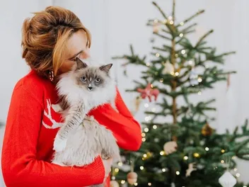 16 Vet-Verified Reasons Why Cats Make Good Pets (Backed by Science)