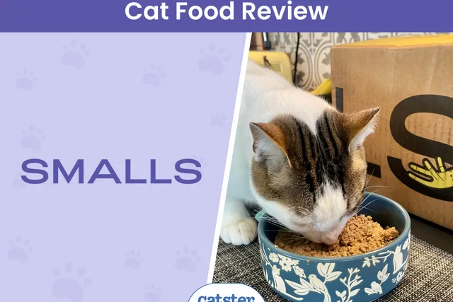 Smalls Cat Food Review 2026: Pros, Cons & Final Verdict