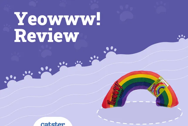 Yeowww! Catnip Rainbow Cat Toy Review of 2026: Pros, Cons & FAQ