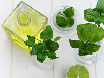 Does Peppermint Oil Kill Fleas on Cats? Vet-Reviewed Effectiveness & Safety