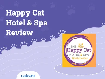 Happy Cat Hotel & Spa 2026 Review: Our Expert Opinion