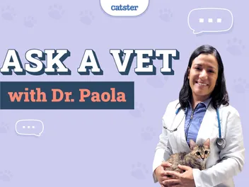 Ask Dr. Paola - Sudden Weight Loss, Sadness & Counter Sitting (March 24, 2025)