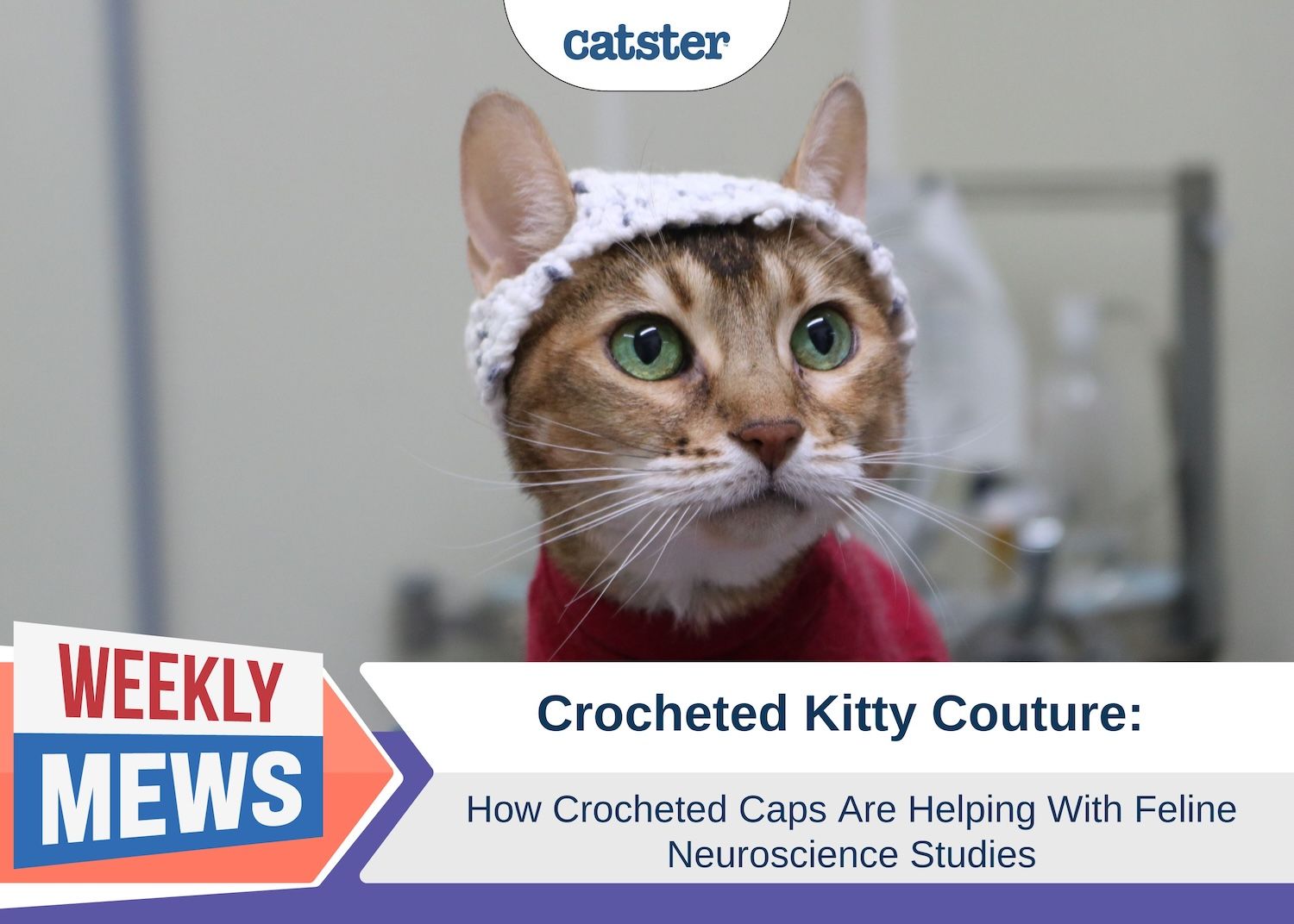 Weekly Mews crocheted kitty caps