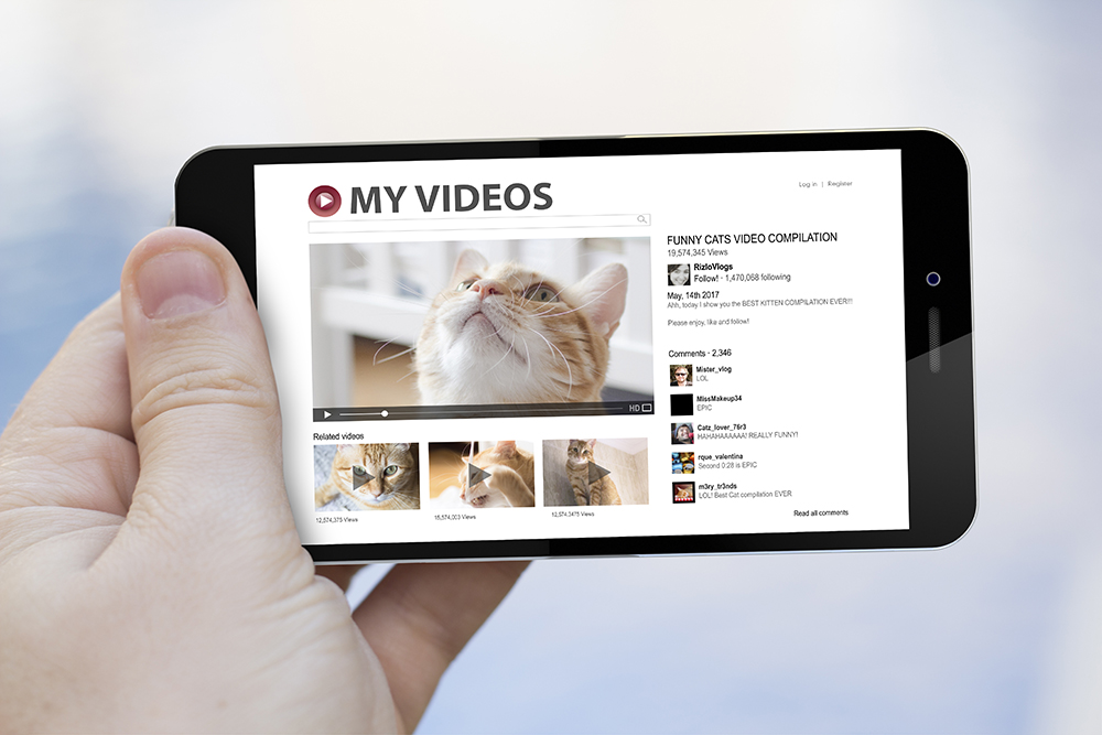 Top 10 Cutest Cat Videos of All Time