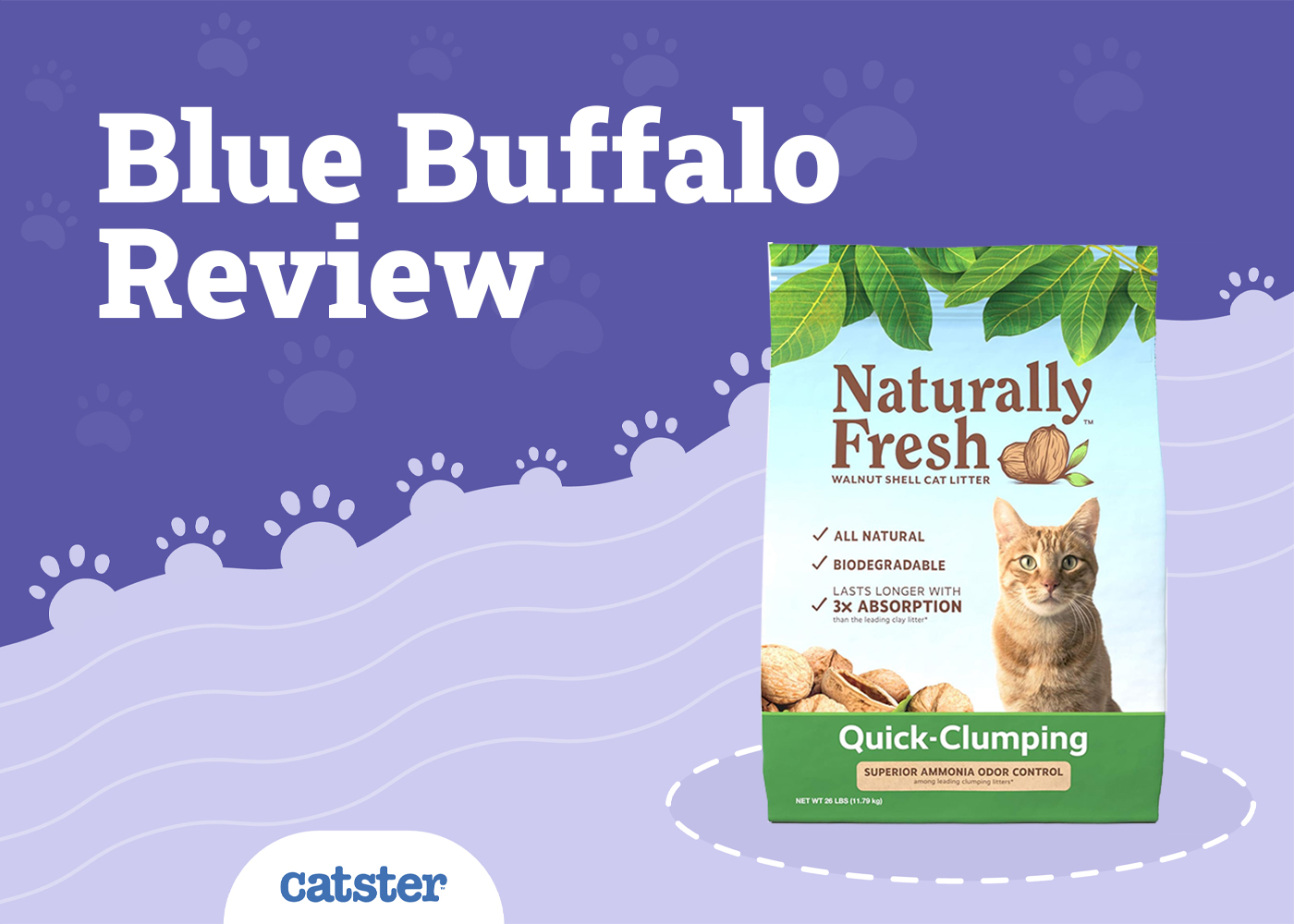 Blue Buffalo Cat Litter Review of 2026: Recalls, Pros & Cons