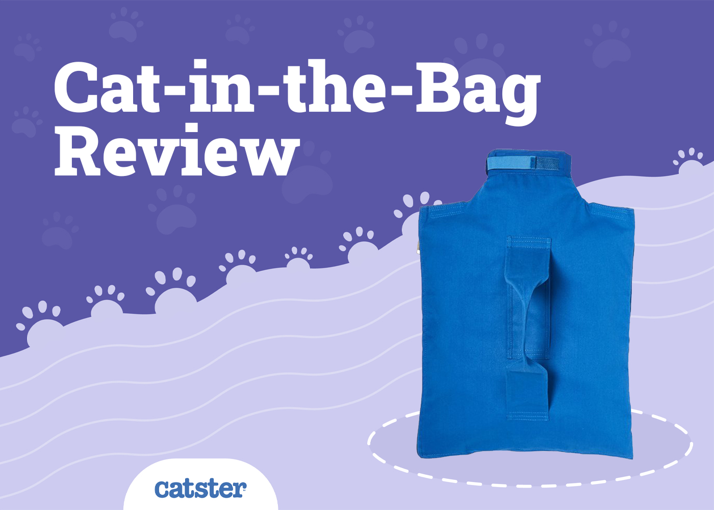 Cat-in-the-Bag Cat Carrier Review of 2026: Pros & Cons