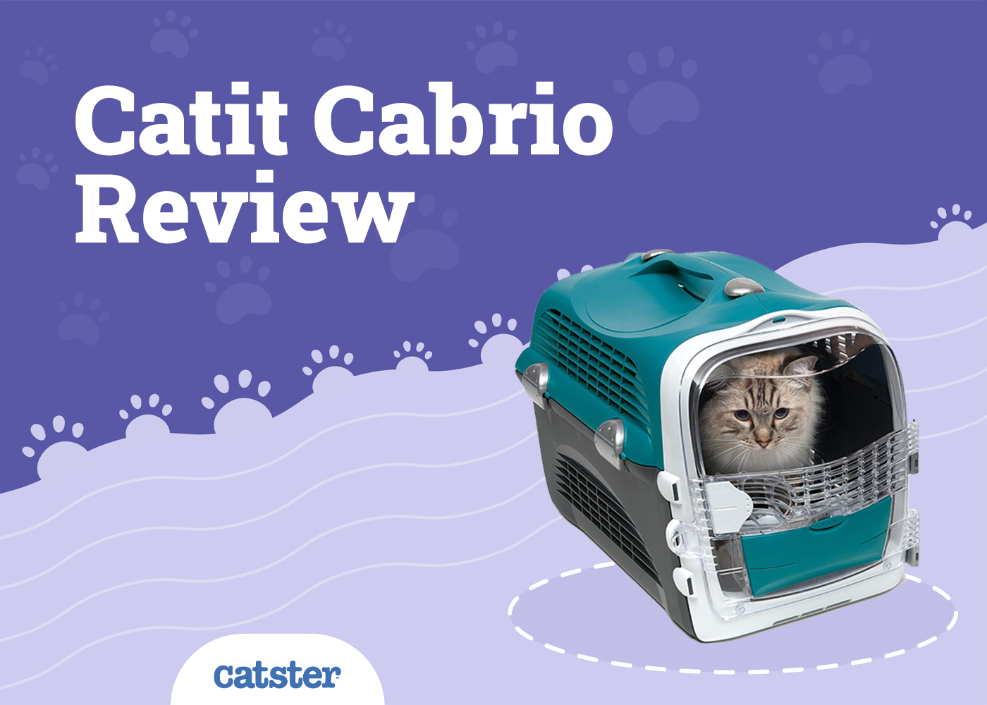 Catit Cabrio Carrier 2026 Review: Pros, Cons & Verdict