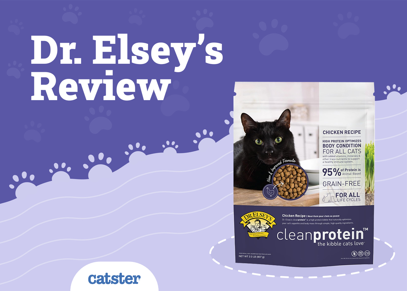Dr. Elsey's Cat Food Clean Protein Review 2026: Recalls, Pros & Cons