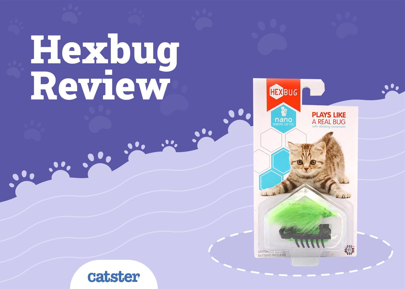 Hexbug Cat Toy Review 2026: Pros, Cons & FAQ
