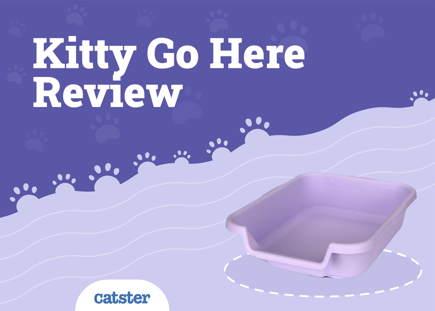 Kitty Go Here Cat Litter Box Review in 2026 - Pros, Cons, FAQ & Verdict
