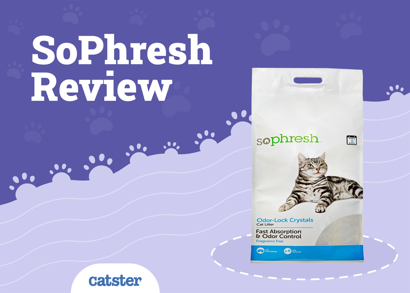 So Phresh Cat Litter Review of 2026: Recalls, Pros & Cons