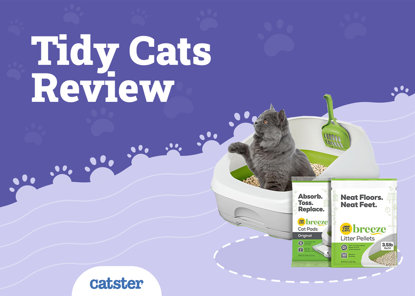 Tidy Cats Breeze Cat Litter System Review: Recalls, Pros & Cons