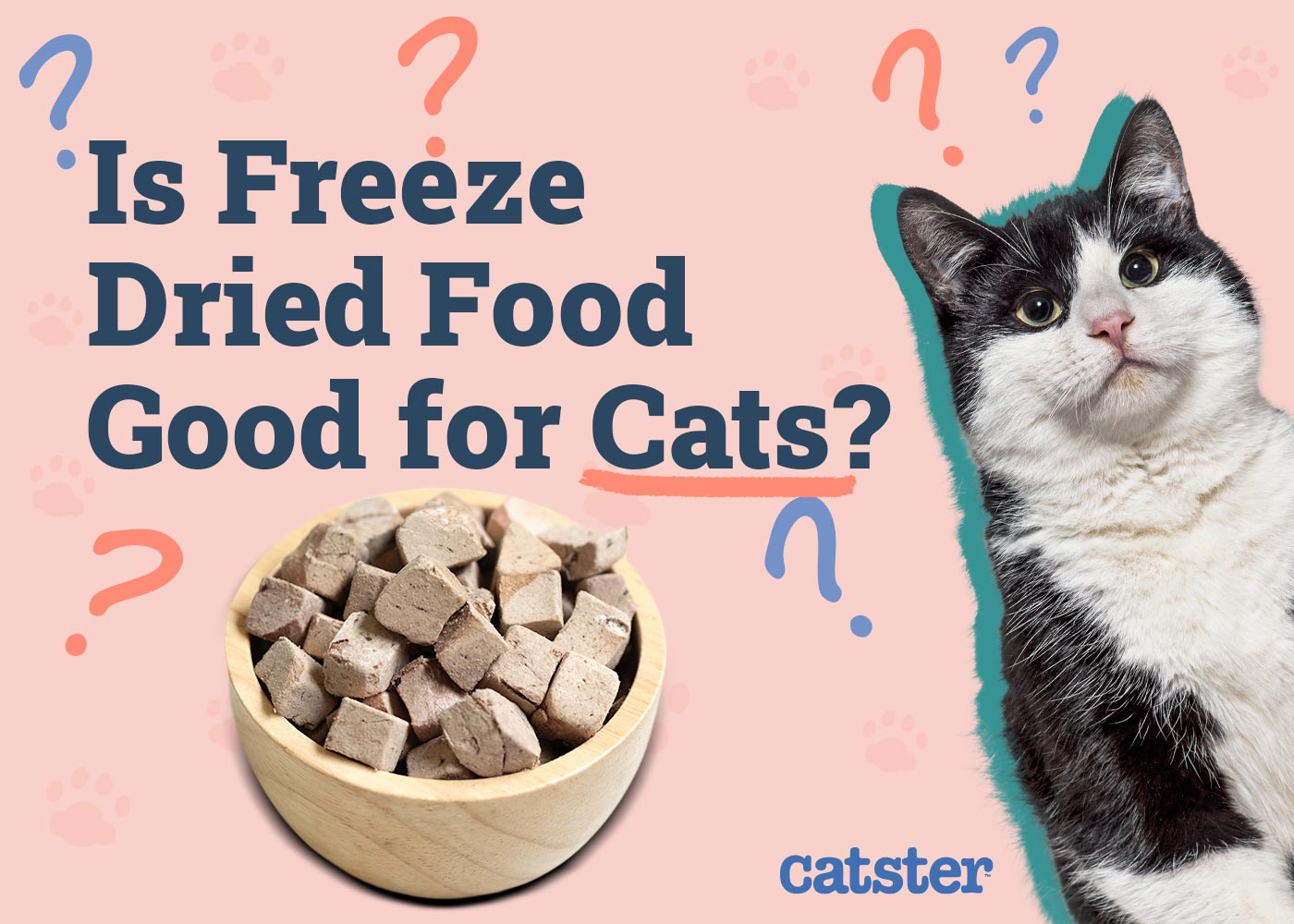 Is Freeze Dried Food Good for Cats? Vet-Reviewed Nutrition Facts & Tips