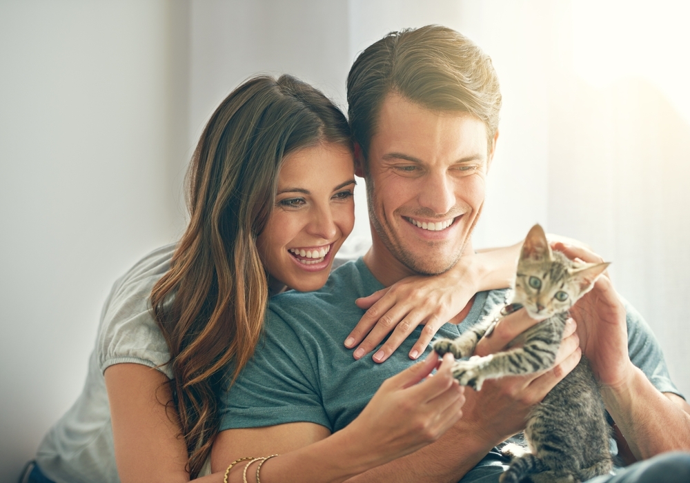 4 Top Cat Dating Websites to Find the Purrfect Partner in 2026
