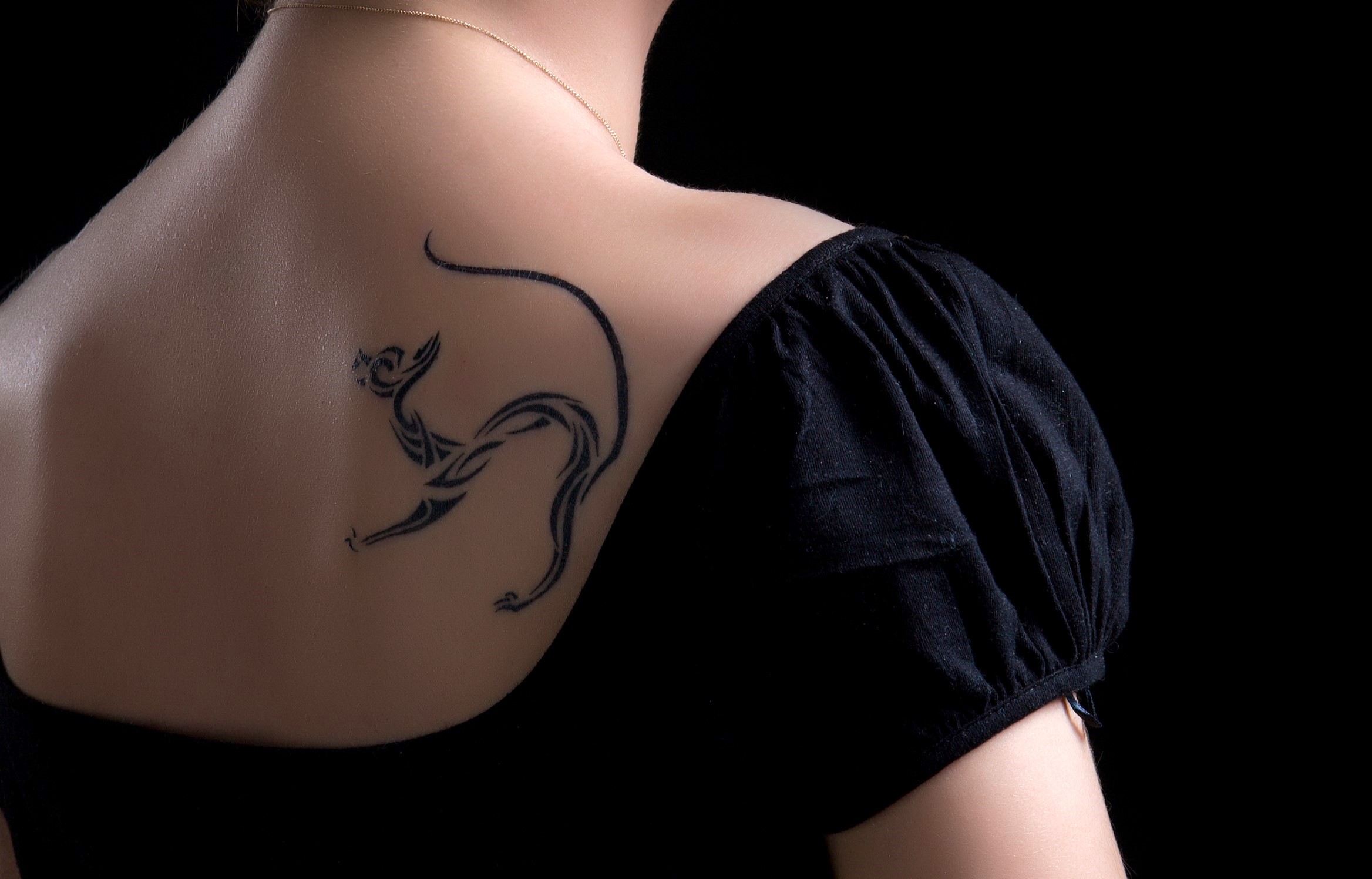 50 Amazing Cat Tattoos (With Pictures)