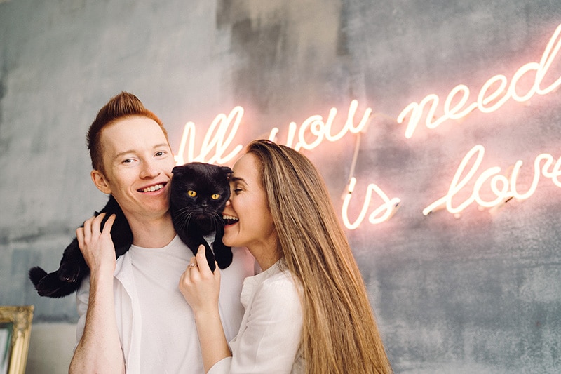 10 Places to Take Your Cat for Fun: Must-See Attractions for Crazy Cat-Couples