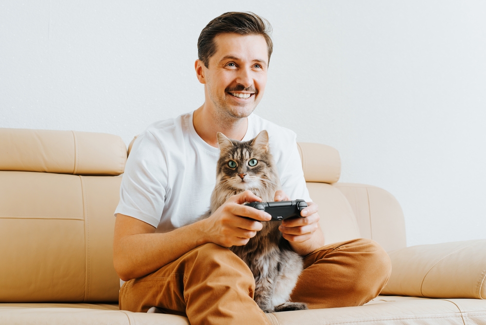 10 Free Cat Video Games You Can Play Online