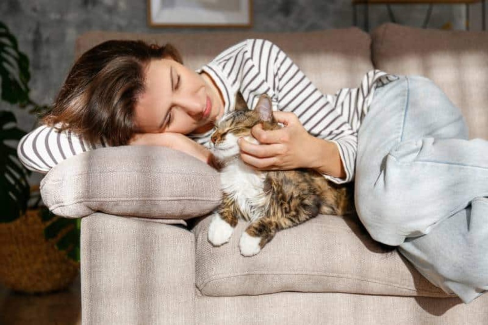 Your Cat’s Purr Proves They’re One of a Kind