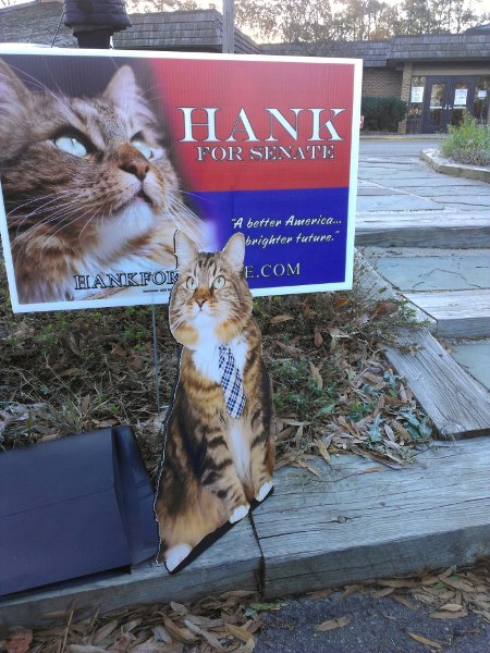 We Interview Hank, the Cat Who Ran for U.S. Senate