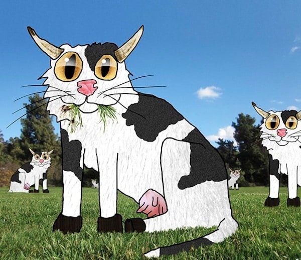 Alternative Rock Icon David Yow Creates Cat Pun Illustrations