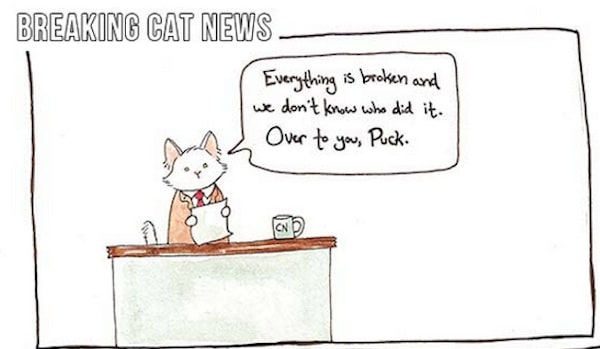 Here's Your New Feline Comic Reporting Service -- It's Called "Breaking Cat News"