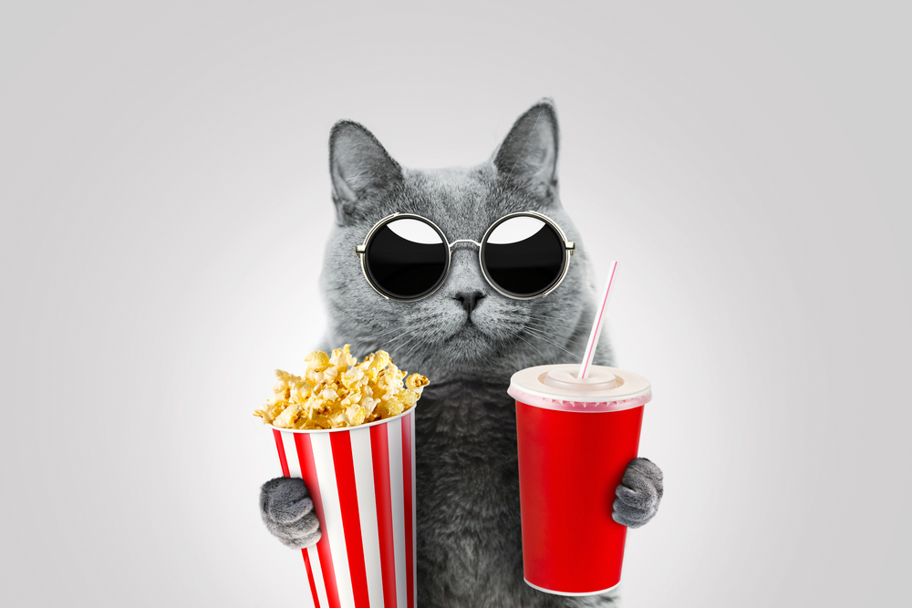 25 Top Cat Movies for Kids: The Purrfect Picks in 2026