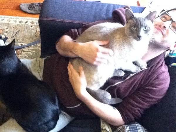 Get to Know a Cat Guy: Eliot Even Writes Songs About His Cats!