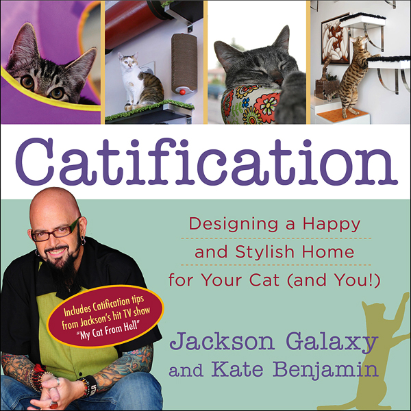 Catster Talks "Catification" with Style Guru Kate Benjamin