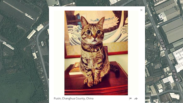 We Chat With Owen Mundy About His Controversial Site, "I Know Where Your Cat Lives"
