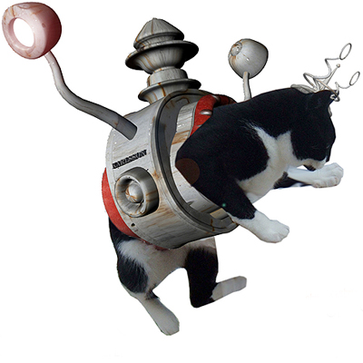 I Discover the Karlsson Cat Levitator - and I Test It
