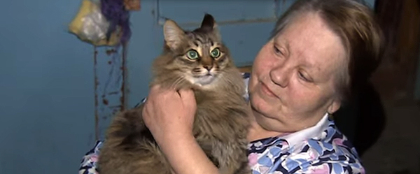Heart-Warming News: A Cat in Russia Saves an Abandoned Baby