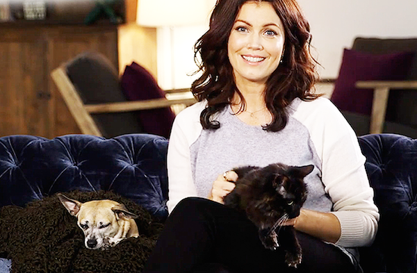 We Talk With "Scandal" Star, Bellamy Young About Shelter Pets and Her Cat, Sadie