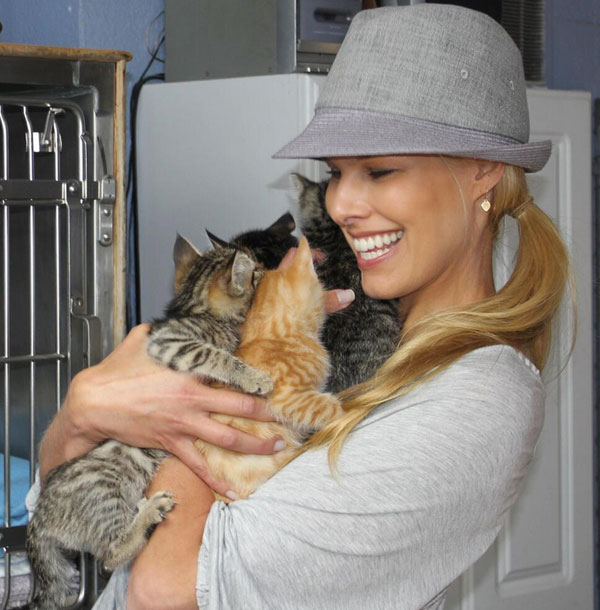 We Chat With Beth Stern About Her Life as a Foster Cat Mom