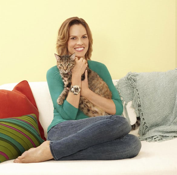 The Catster Interviews Hilary Swank About Iams Home 4 the Holidays