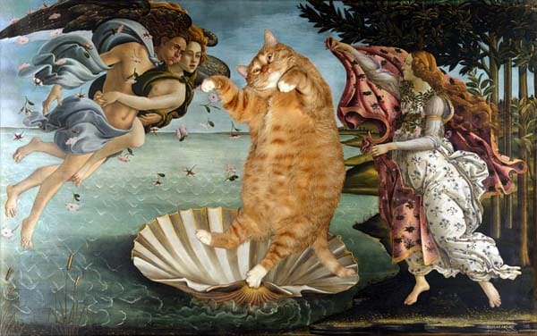 We Chat With Artist Svetlana Petrova About "Fat Cat Art"